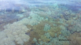 Marine Park of Bira Cape